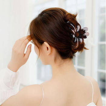 Grip klips za kosu, akril, antički stil, literarno retro dizajn, dodatak za glavu