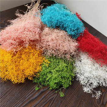 Žāvēta gipsofila zvaigžņu dārzs — Materiāls: Mūžīgie ziedi; Zīmols: Hua Wanjia; Process: Citi; Veids: Cits