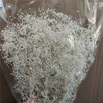 Žāvēta gipsofila zvaigžņu dārzs — Materiāls: Mūžīgie ziedi; Zīmols: Hua Wanjia; Process: Citi; Veids: Cits