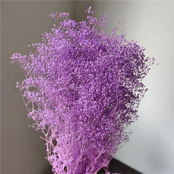 Žāvēta gipsofila zvaigžņu dārzs — Materiāls: Mūžīgie ziedi; Zīmols: Hua Wanjia; Process: Citi; Veids: Cits