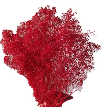 Žāvēta gipsofila zvaigžņu dārzs — Materiāls: Mūžīgie ziedi; Zīmols: Hua Wanjia; Process: Citi; Veids: Cits