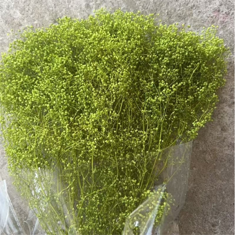 Žāvēta gipsofila zvaigžņu dārzs — Materiāls: Mūžīgie ziedi; Zīmols: Hua Wanjia; Process: Citi; Veids: Cits