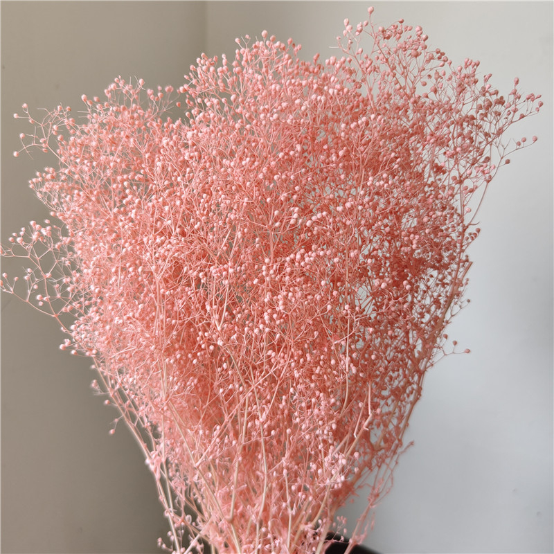 Žāvēta gipsofila zvaigžņu dārzs — Materiāls: Mūžīgie ziedi; Zīmols: Hua Wanjia; Process: Citi; Veids: Cits