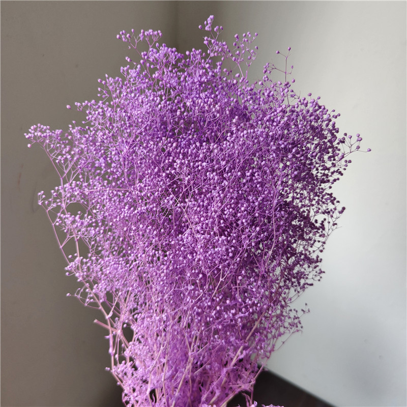 Žāvēta gipsofila zvaigžņu dārzs — Materiāls: Mūžīgie ziedi; Zīmols: Hua Wanjia; Process: Citi; Veids: Cits