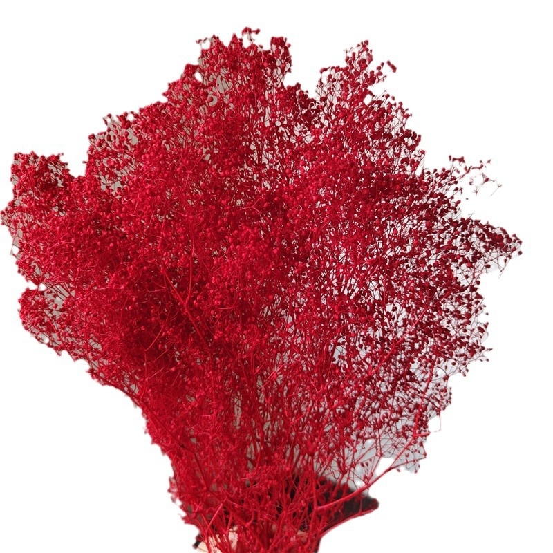 Žāvēta gipsofila zvaigžņu dārzs — Materiāls: Mūžīgie ziedi; Zīmols: Hua Wanjia; Process: Citi; Veids: Cits