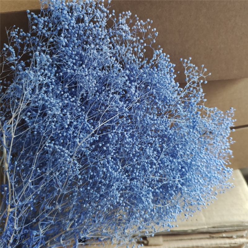 Žāvēta gipsofila zvaigžņu dārzs — Materiāls: Mūžīgie ziedi; Zīmols: Hua Wanjia; Process: Citi; Veids: Cits