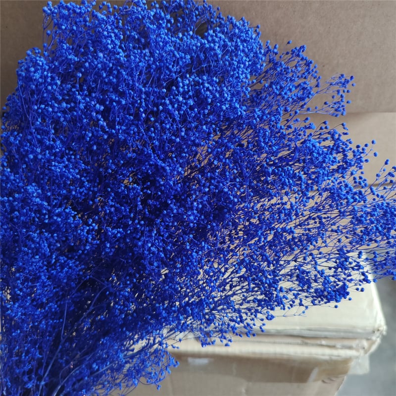 Žāvēta gipsofila zvaigžņu dārzs — Materiāls: Mūžīgie ziedi; Zīmols: Hua Wanjia; Process: Citi; Veids: Cits