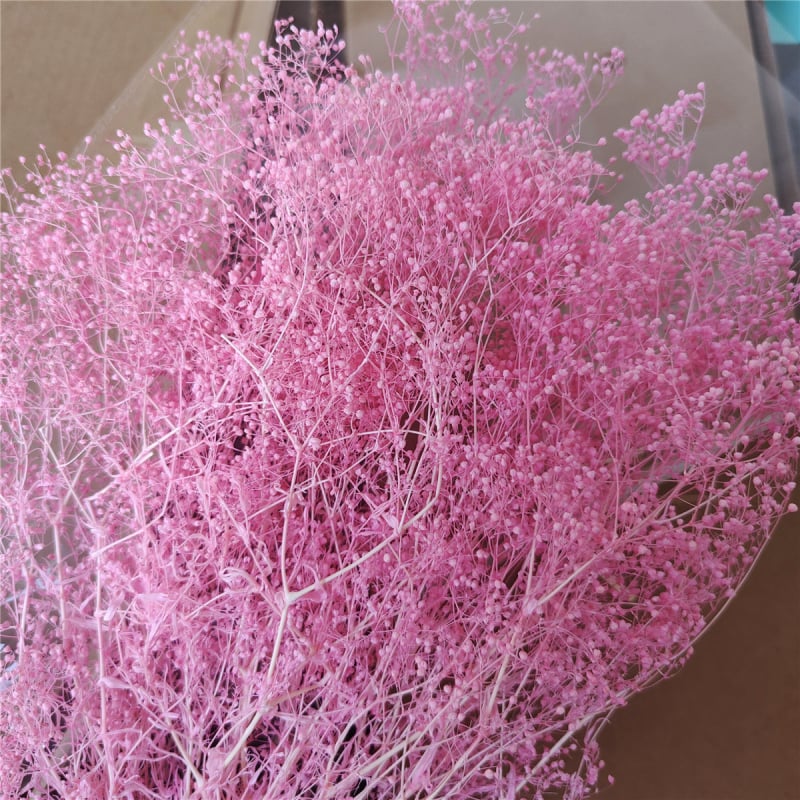 Žāvēta gipsofila zvaigžņu dārzs — Materiāls: Mūžīgie ziedi; Zīmols: Hua Wanjia; Process: Citi; Veids: Cits