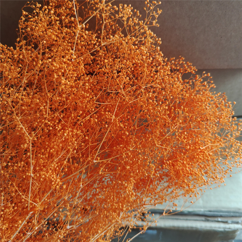 Žāvēta gipsofila zvaigžņu dārzs — Materiāls: Mūžīgie ziedi; Zīmols: Hua Wanjia; Process: Citi; Veids: Cits