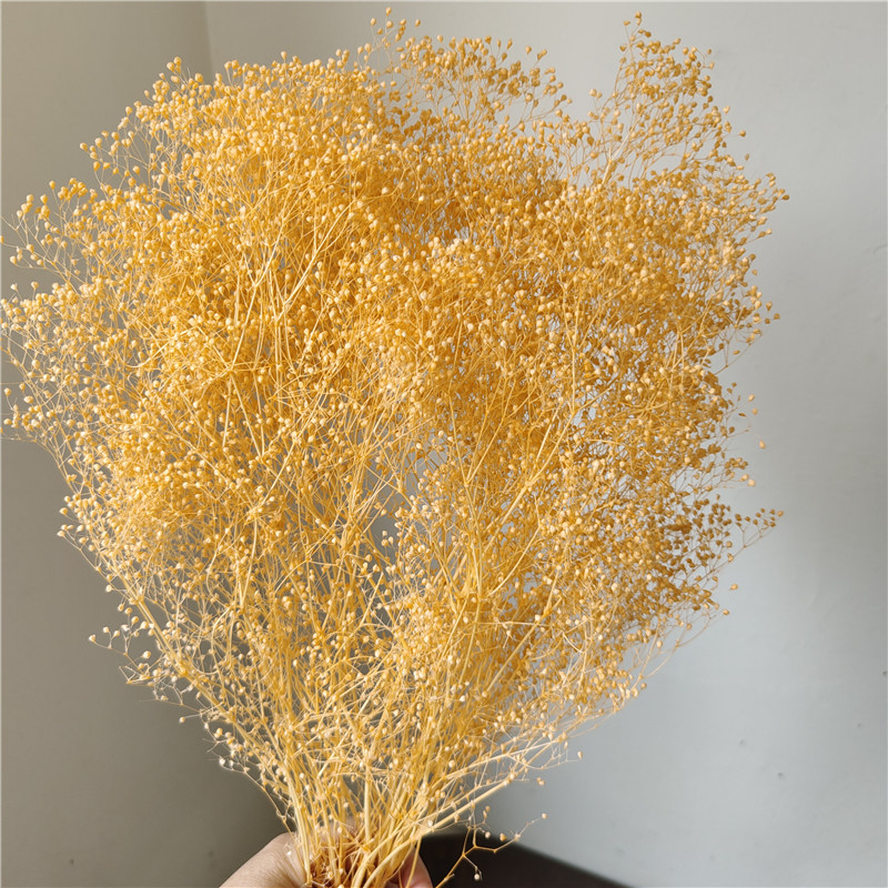 Žāvēta gipsofila zvaigžņu dārzs — Materiāls: Mūžīgie ziedi; Zīmols: Hua Wanjia; Process: Citi; Veids: Cits