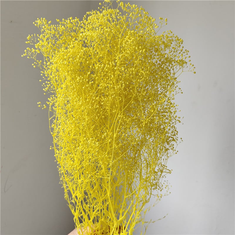 Žāvēta gipsofila zvaigžņu dārzs — Materiāls: Mūžīgie ziedi; Zīmols: Hua Wanjia; Process: Citi; Veids: Cits