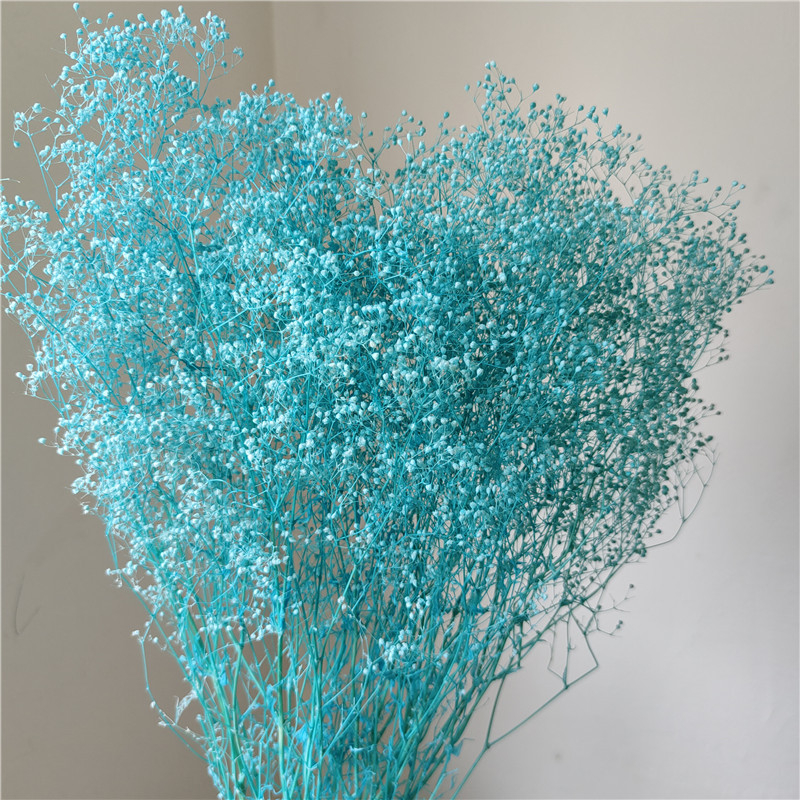 Žāvēta gipsofila zvaigžņu dārzs — Materiāls: Mūžīgie ziedi; Zīmols: Hua Wanjia; Process: Citi; Veids: Cits