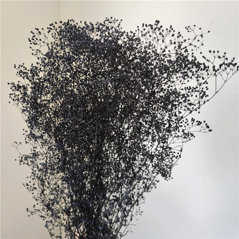 Žāvēta gipsofila zvaigžņu dārzs — Materiāls: Mūžīgie ziedi; Zīmols: Hua Wanjia; Process: Citi; Veids: Cits