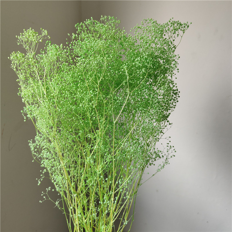 Žāvēta gipsofila zvaigžņu dārzs — Materiāls: Mūžīgie ziedi; Zīmols: Hua Wanjia; Process: Citi; Veids: Cits