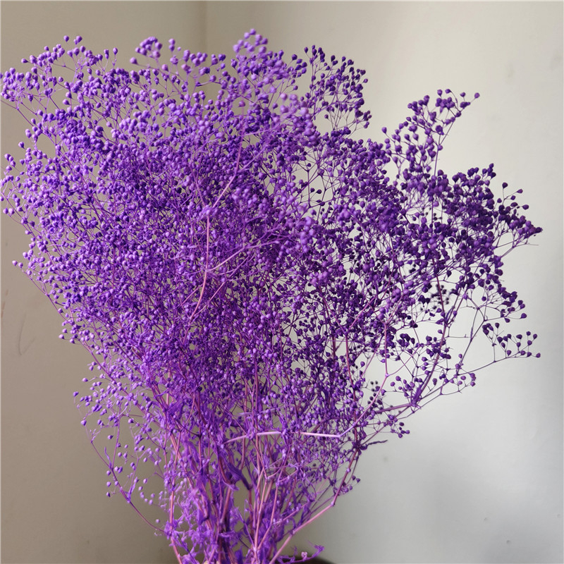 Žāvēta gipsofila zvaigžņu dārzs — Materiāls: Mūžīgie ziedi; Zīmols: Hua Wanjia; Process: Citi; Veids: Cits