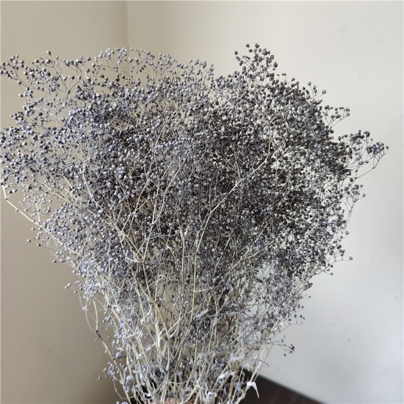 Žāvēta gipsofila zvaigžņu dārzs — Materiāls: Mūžīgie ziedi; Zīmols: Hua Wanjia; Process: Citi; Veids: Cits