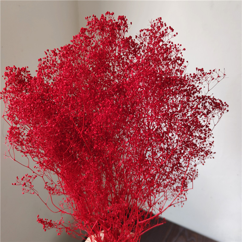 Žāvēta gipsofila zvaigžņu dārzs — Materiāls: Mūžīgie ziedi; Zīmols: Hua Wanjia; Process: Citi; Veids: Cits