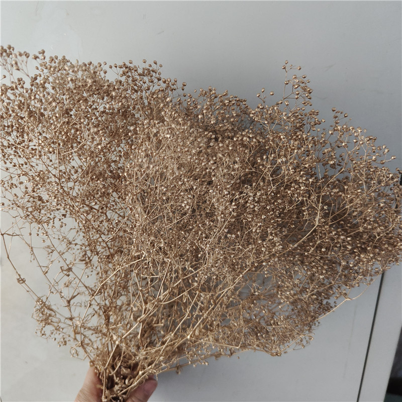 Sušena gypsophila zvjezdano dvorište — Materijal: Vječno cvijeće; Marka: Hua Wanjia; Proces: Drugo; Vrsta: Drugo
