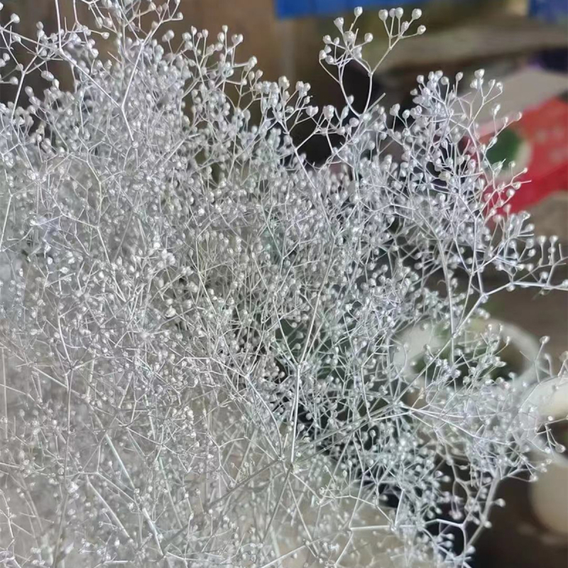 Žāvēta gipsofila zvaigžņu dārzs — Materiāls: Mūžīgie ziedi; Zīmols: Hua Wanjia; Process: Citi; Veids: Cits