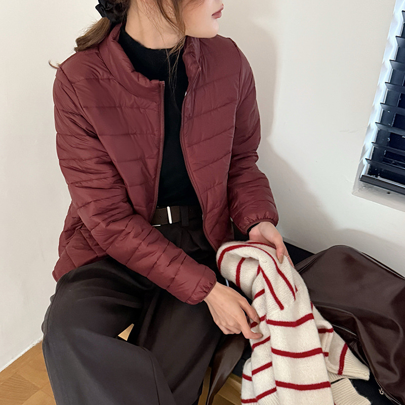 Ashmi vilnos užpildyta nailoninė striukė su stovinčia apykakle, užtrauktuku, geometriniu raštu, ilgos rankovės