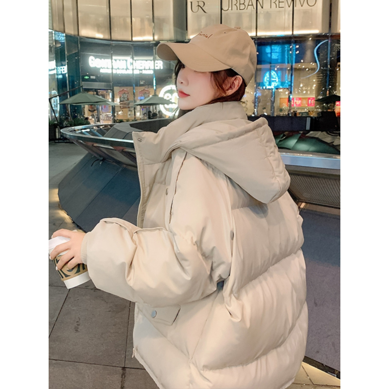 Moteriška medvilninė pūkuota striukė su užtrauktuku, polo apykaklė, ilgomis rankovėmis, tiesus kirpimas