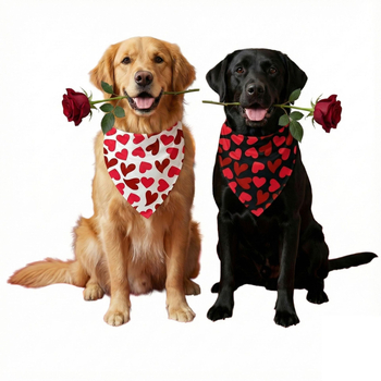 Trīsstūrīgs suņu šalle | burtiem drukāts raksts | poliestērs | karikatūras stils | drukāšana