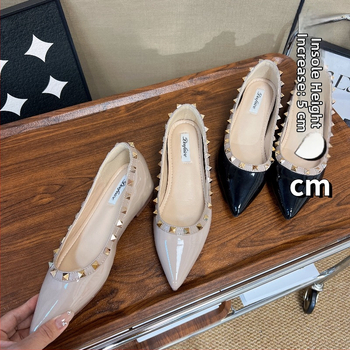 Sieviešu plakanas kurpes ar smailu purnu | virsma no lakotas ādas; iekšzole no dabīgās ādas; zole no gumijas; papēža augstums 3–6 cm