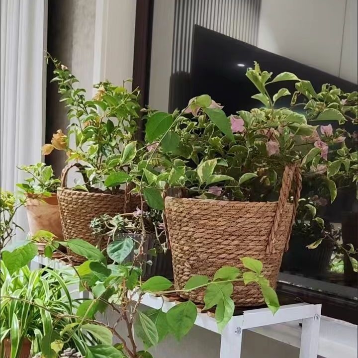 Saksija za cvijeće od loze, postavljena na pod, pastoralnog stila, otporna na koroziju, za kućno vrtlarenje