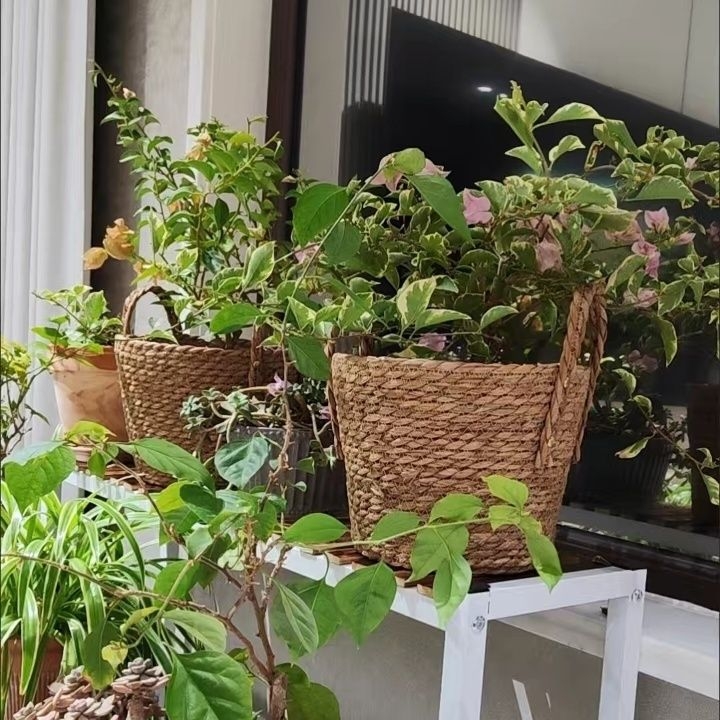 Saksija za cvijeće od loze, postavljena na pod, pastoralnog stila, otporna na koroziju, za kućno vrtlarenje