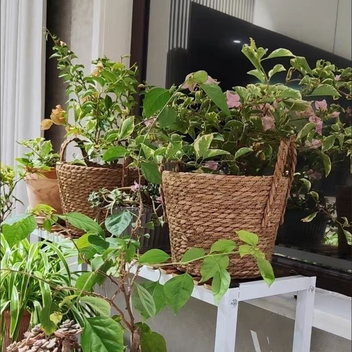 Saksija za cvijeće od loze, postavljena na pod, pastoralnog stila, otporna na koroziju, za kućno vrtlarenje