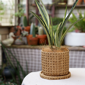 Cementni lonac, ručno izrađen, retro stil; za stol ili pod; prozračan, izdržljiv, otporan na koroziju.