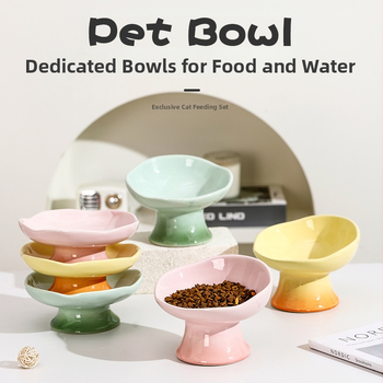 Κεραμικό μπολ φαγητού γάτας με σχέδιο πετάλων, υπερυψωμένη βάση, αντιδιαρροϊκό