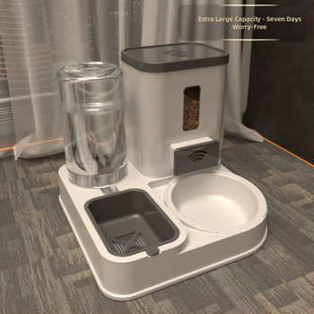 Μπολ ταΐσματος γάτας από ανοξείδωτο ατσάλι – Εργαλεία ταΐσμού κατοικίδιων