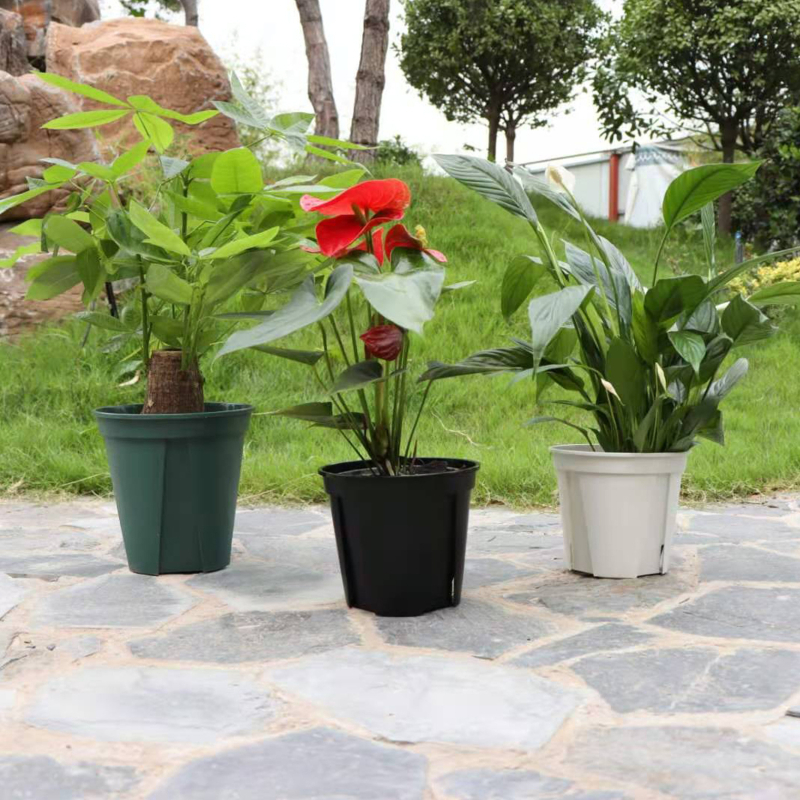 Wing Green kružna plastična posuda za cvijeće s debelim stijenkama, bijelo-zelena, dizajn kontrole korijena, promjer 14-36 cm