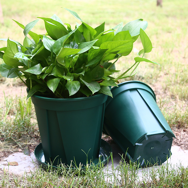 Wing Green kružna plastična posuda za cvijeće s debelim stijenkama, bijelo-zelena, dizajn kontrole korijena, promjer 14-36 cm