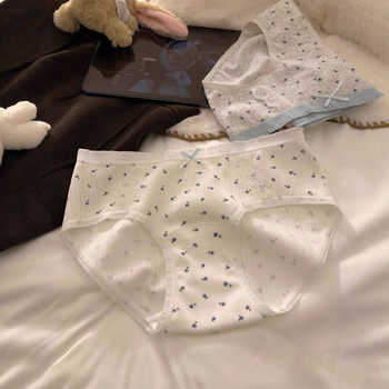 Ženske pamuk gaćice | Antibakterijske, Prozračne, Brzo suše | Srednji pojas, 40-count pamuk tkanina, Podstava 100% pamuk