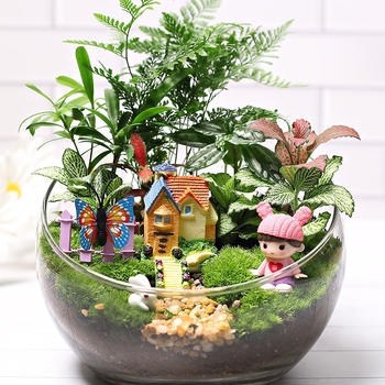 18-os osaline DIY mini sammalmaastiku komplekt koos siidiliste lilledega, Turtle Back tõug, pulmadeks