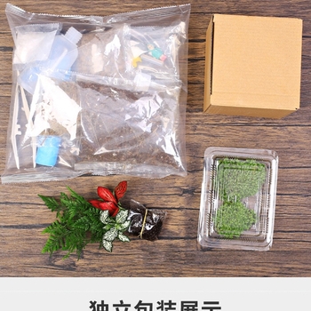 18-os osaline DIY mini sammalmaastiku komplekt koos siidiliste lilledega, Turtle Back tõug, pulmadeks