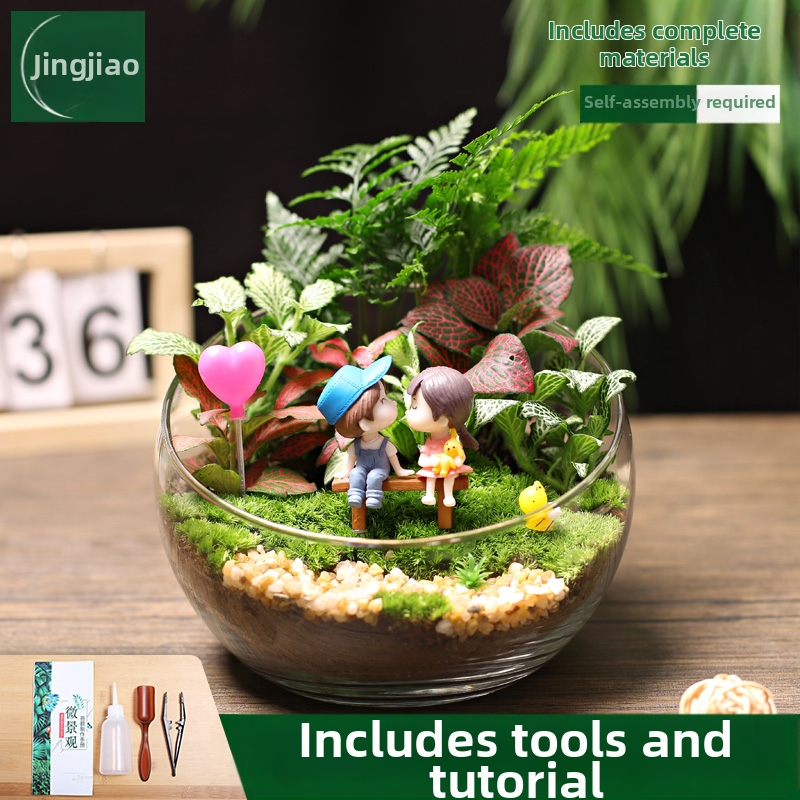 18-os osaline DIY mini sammalmaastiku komplekt koos siidiliste lilledega, Turtle Back tõug, pulmadeks