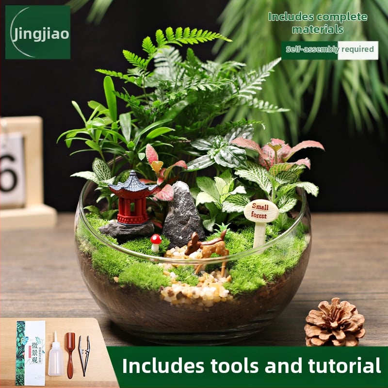 18-os osaline DIY mini sammalmaastiku komplekt koos siidiliste lilledega, Turtle Back tõug, pulmadeks