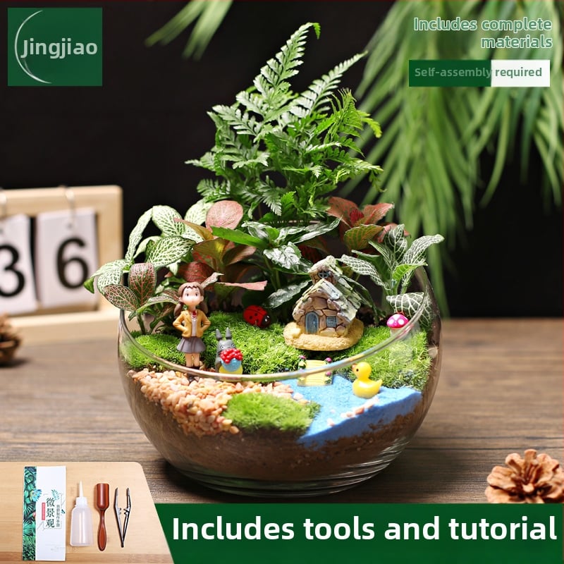 18-os osaline DIY mini sammalmaastiku komplekt koos siidiliste lilledega, Turtle Back tõug, pulmadeks