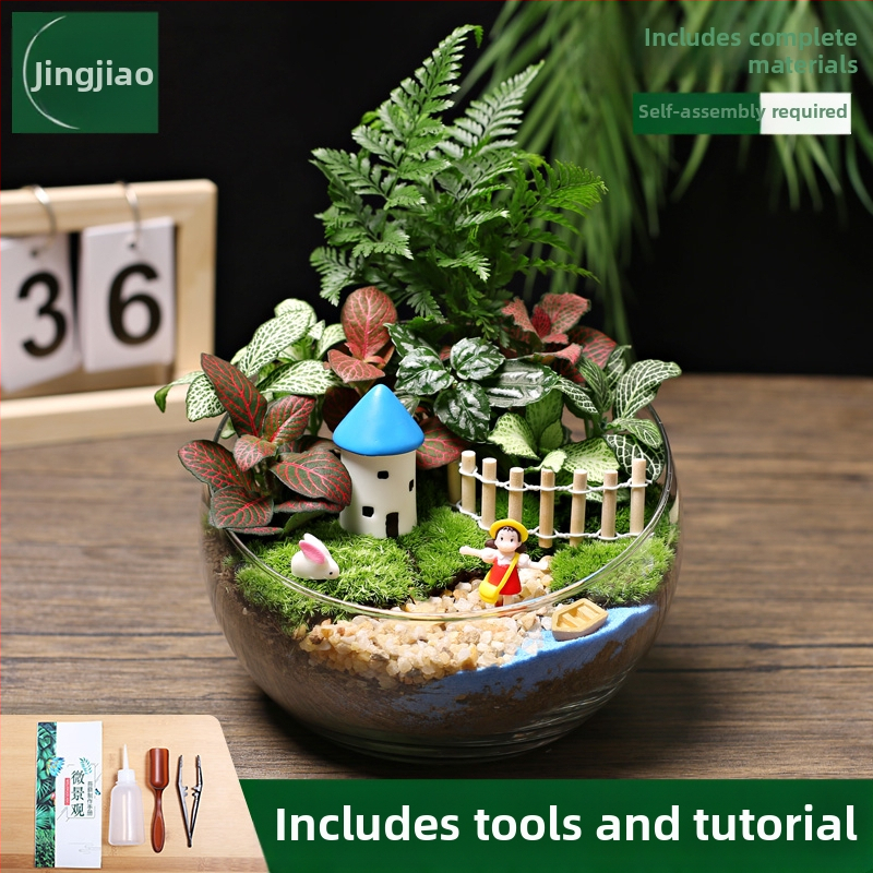 18-os osaline DIY mini sammalmaastiku komplekt koos siidiliste lilledega, Turtle Back tõug, pulmadeks