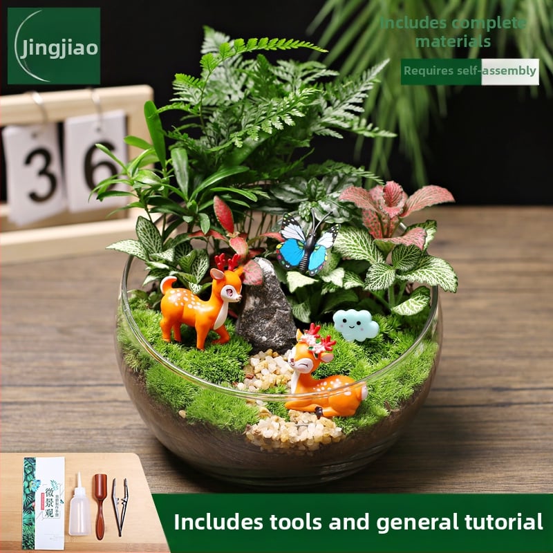 18-os osaline DIY mini sammalmaastiku komplekt koos siidiliste lilledega, Turtle Back tõug, pulmadeks