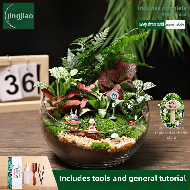 18-os osaline DIY mini sammalmaastiku komplekt koos siidiliste lilledega, Turtle Back tõug, pulmadeks