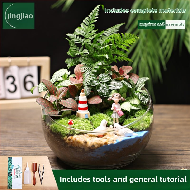 18-os osaline DIY mini sammalmaastiku komplekt koos siidiliste lilledega, Turtle Back tõug, pulmadeks