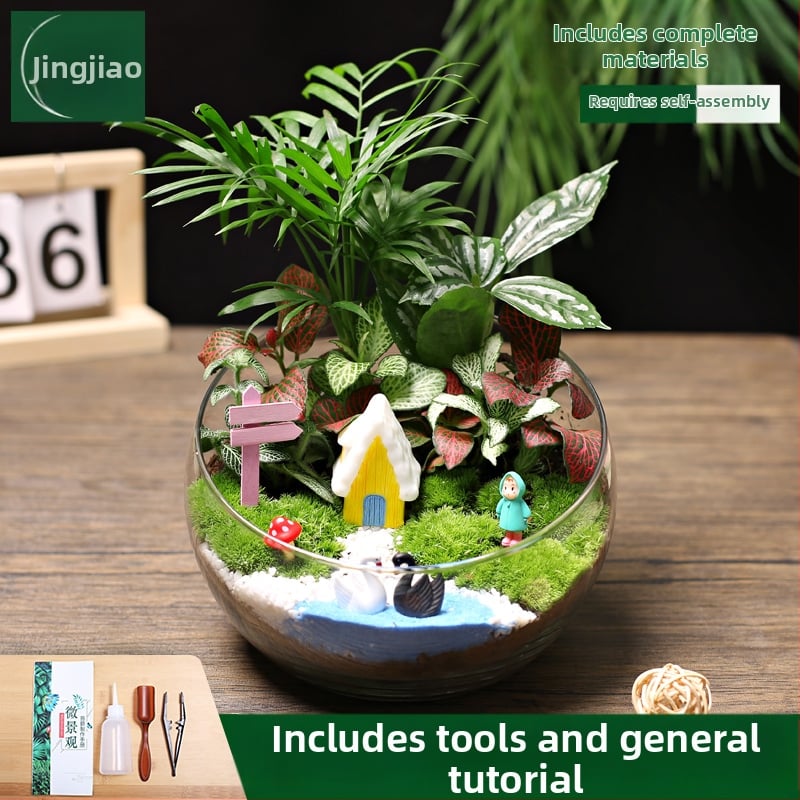 18-os osaline DIY mini sammalmaastiku komplekt koos siidiliste lilledega, Turtle Back tõug, pulmadeks