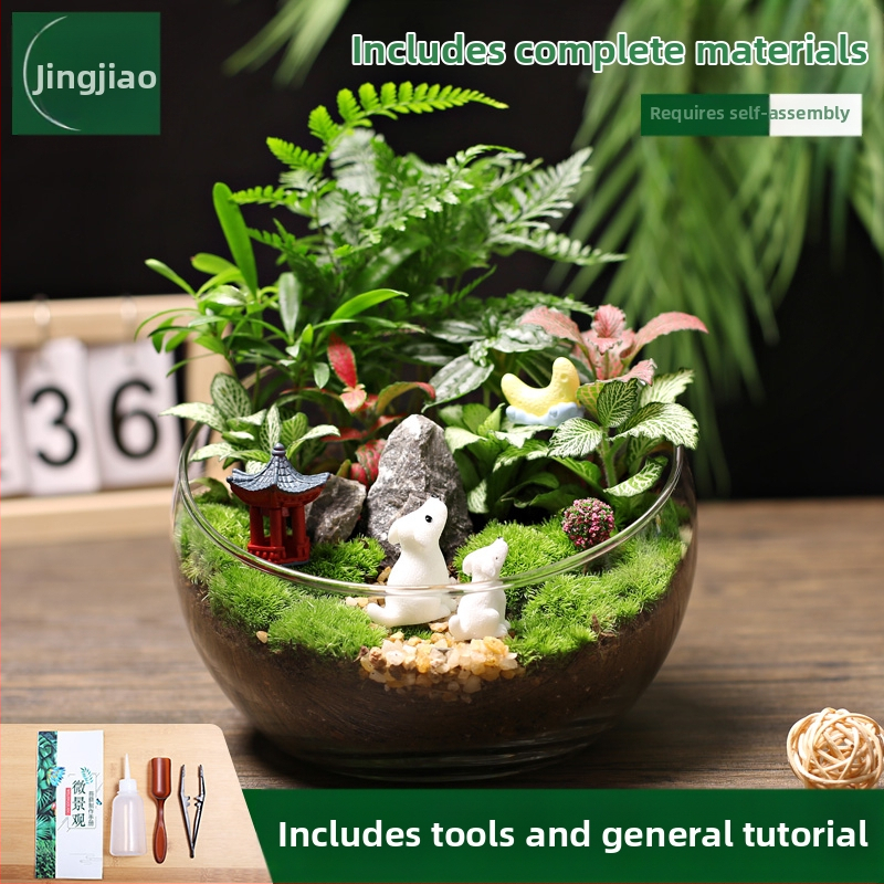 18-os osaline DIY mini sammalmaastiku komplekt koos siidiliste lilledega, Turtle Back tõug, pulmadeks