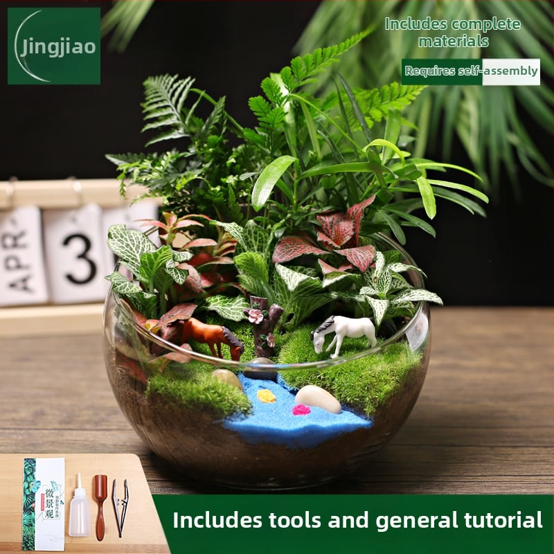 18-os osaline DIY mini sammalmaastiku komplekt koos siidiliste lilledega, Turtle Back tõug, pulmadeks