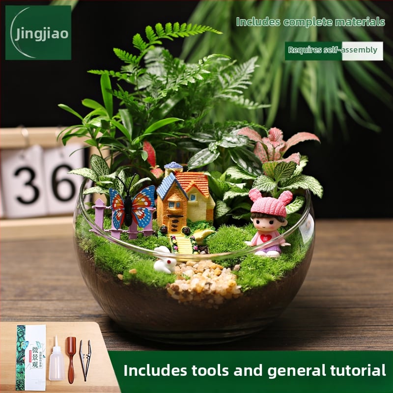 18-os osaline DIY mini sammalmaastiku komplekt koos siidiliste lilledega, Turtle Back tõug, pulmadeks