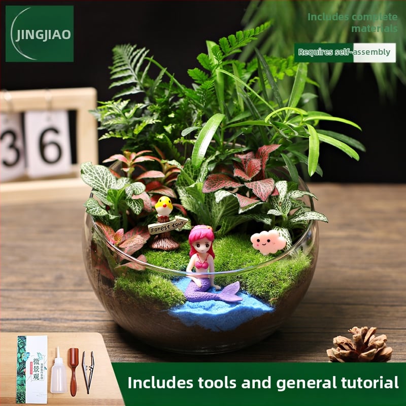 18-os osaline DIY mini sammalmaastiku komplekt koos siidiliste lilledega, Turtle Back tõug, pulmadeks